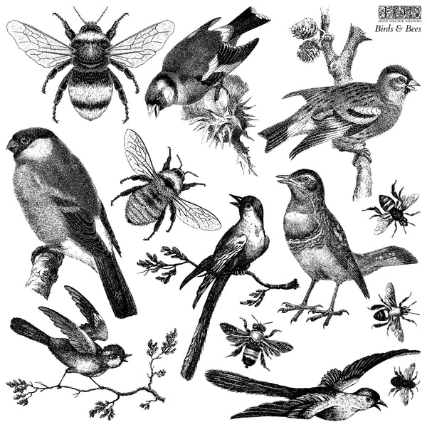 Iron Orchid Designs Birds & Bees | IOD Decor Stamp