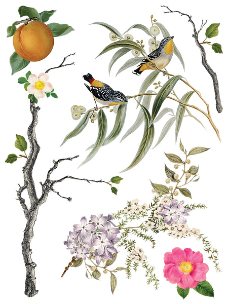 Iron Orchid Designs Menagerie