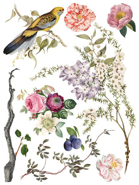 Iron Orchid Designs Menagerie