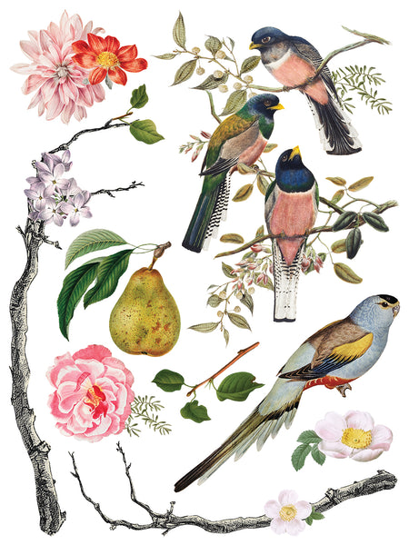 Iron Orchid Designs Menagerie