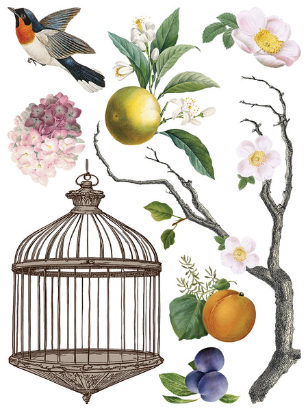 Iron Orchid Designs Menagerie