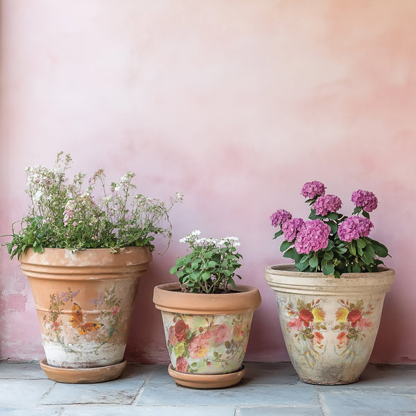Iron Orchid Designs Saint Germain