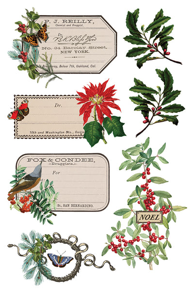 Winter Botantist | IOD Transfer