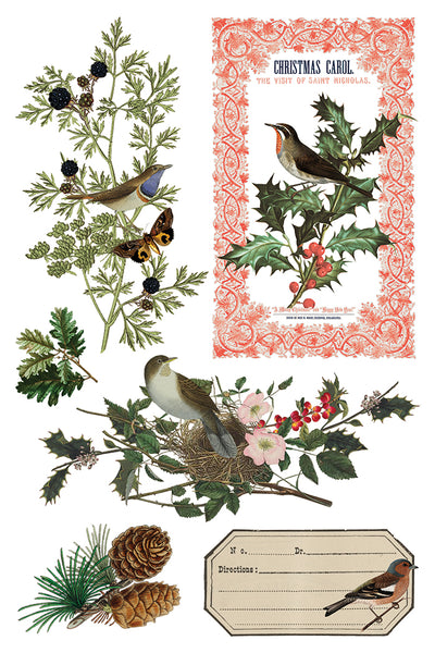 Winter Botantist | IOD Transfer