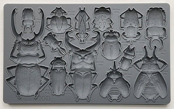 Iron Orchid Designs Specimens| IOD Mould