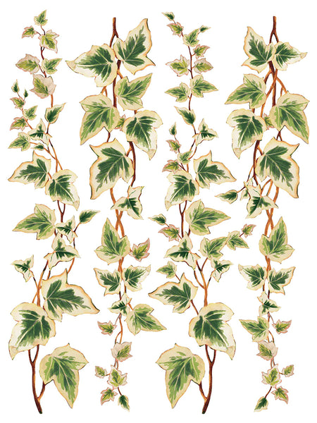 Iron Orchid Designs Collage De Fleurs | IOD Transfer