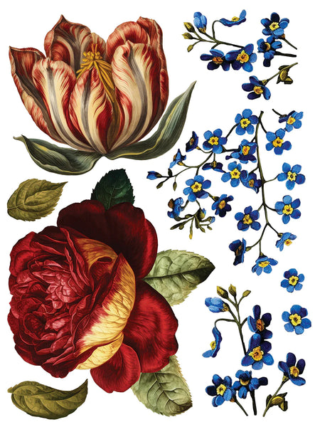 Iron Orchid Designs Collage De Fleurs | IOD Transfer
