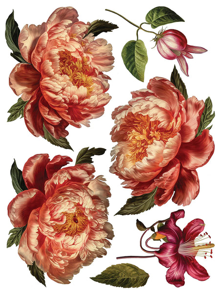 Iron Orchid Designs Collage De Fleurs | IOD Transfer