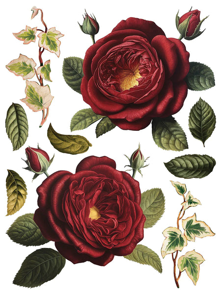 Iron Orchid Designs Collage De Fleurs | IOD Transfer