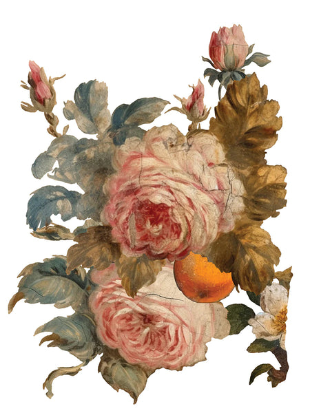 Iron Orchid Designs Joie Des Roses | IOD Transfer