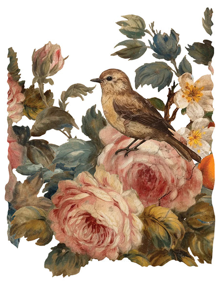 Iron Orchid Designs Joie Des Roses | IOD Transfer