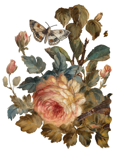 Iron Orchid Designs Joie Des Roses | IOD Transfer