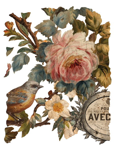 Iron Orchid Designs Joie Des Roses | IOD Transfer