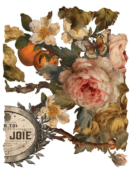 Iron Orchid Designs Joie Des Roses | IOD Transfer