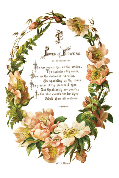 Iron Orchid Designs Lover of Flowers | IOD Transfer