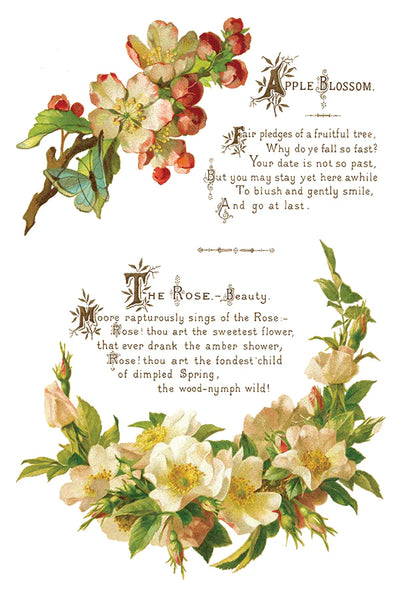 Iron Orchid Designs Lover of Flowers | IOD Transfer