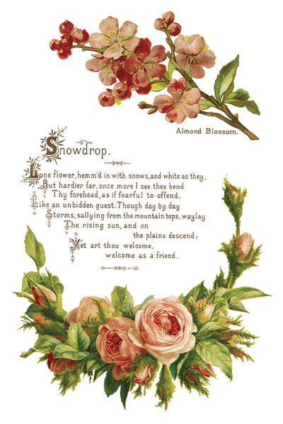 Iron Orchid Designs Lover of Flowers | IOD Transfer