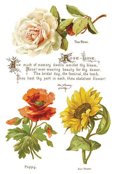Iron Orchid Designs Lover of Flowers | IOD Transfer