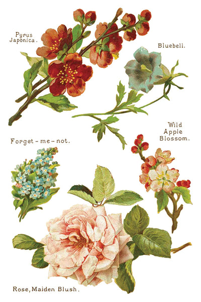 Iron Orchid Designs Lover of Flowers | IOD Transfer