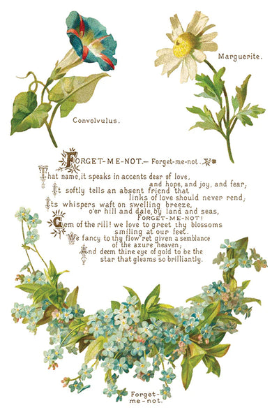 Iron Orchid Designs Lover of Flowers | IOD Transfer