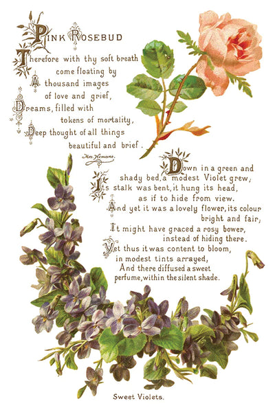 Iron Orchid Designs Lover of Flowers | IOD Transfer