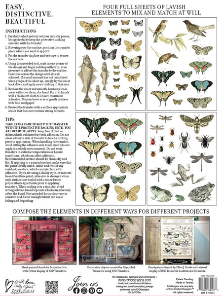 Iron Orchid Designs Entomology Etcetera| IOD Transfer