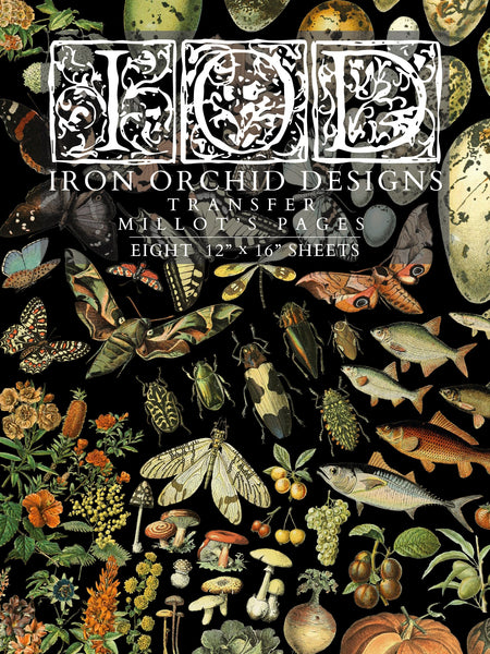 Iron Orchid Designs Millot’s Pages | IOD Transfer