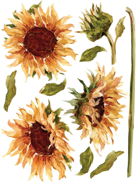 Iron Orchid Designs Painterly Florals| IOD Transfer