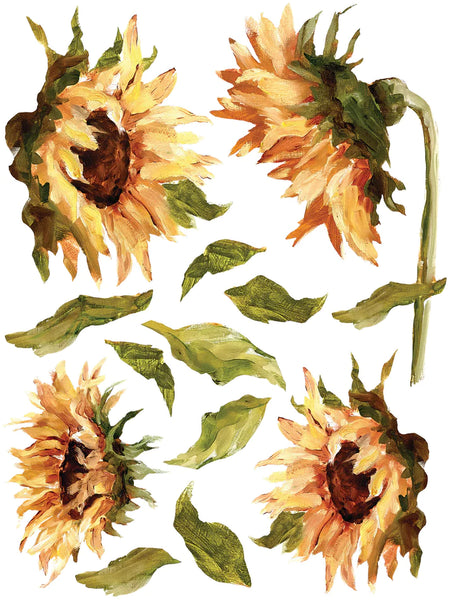 Iron Orchid Designs Painterly Florals| IOD Transfer