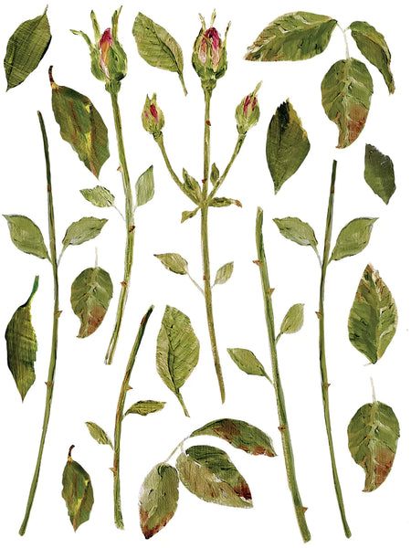 Iron Orchid Designs Painterly Florals| IOD Transfer