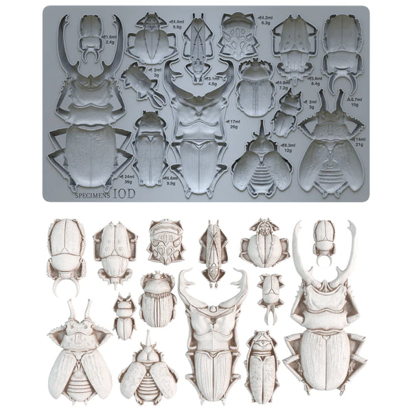 Iron Orchid Designs Specimens| IOD Mould