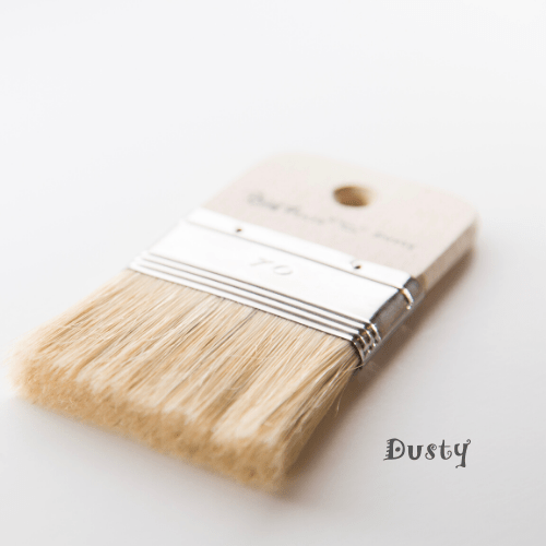 Dusty Paint Pixie