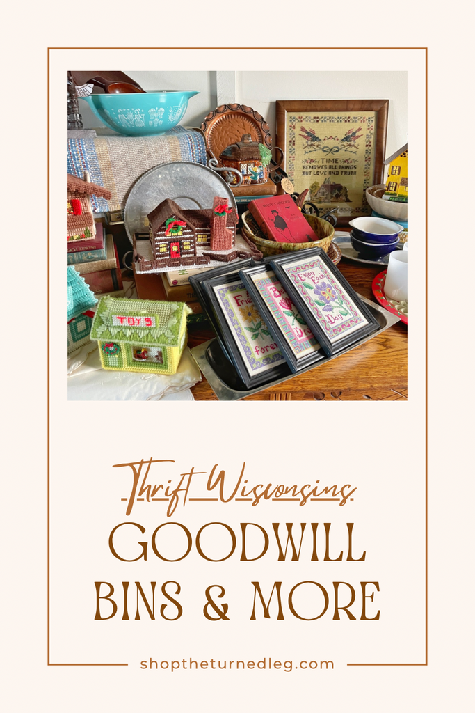 Thrifting in Wisconsin: My First Trip to the Goodwill Bins!