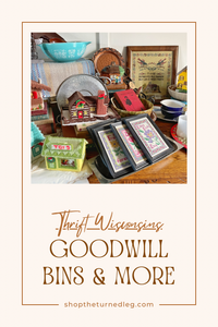 Thrifting in Wisconsin: My First Trip to the Goodwill Bins!