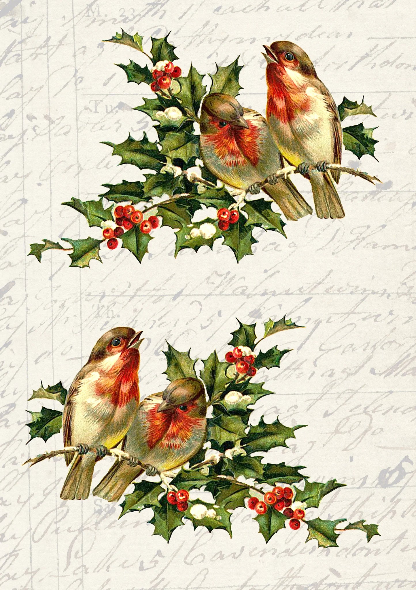Birds On Holly Branch | JRV A4 Rice Paper/