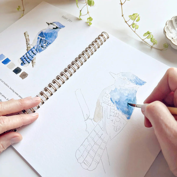Birds Watercolor Workbook, Beginner Friendly by Emily Lex Studio