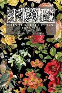 Iron Orchid Designs Catharina | IOD Transfer PRE-ORDER ONLY