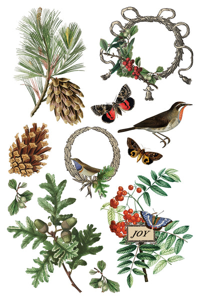 Winter Botantist | IOD Transfer