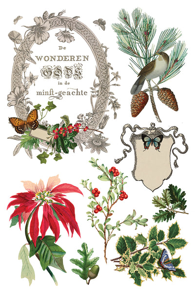 Winter Botantist | IOD Transfer