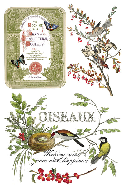 Winter Botantist | IOD Transfer