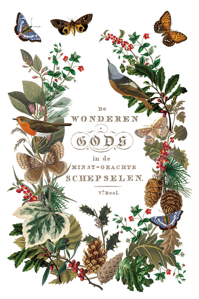 Winter Botantist | IOD Transfer