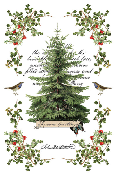 Winter Botantist | IOD Transfer