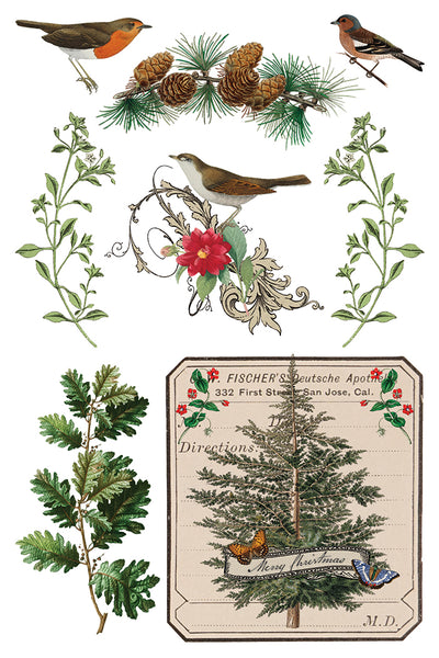 Winter Botantist | IOD Transfer