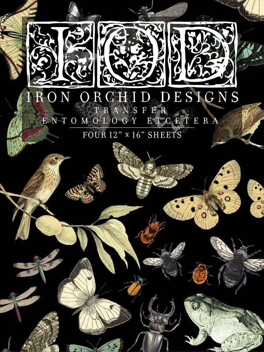 Iron Orchid Designs Entomology Etcetera| IOD Transfer