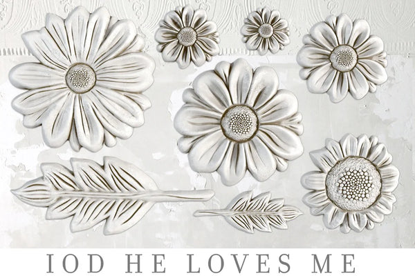 Iron Orchid Designs He Loves Me | IOD Mould