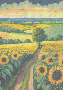 Sunflower Fields | JRV Rice Paper | A4