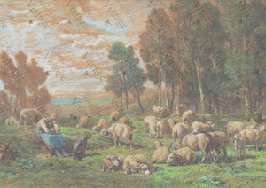 Pastoral Sheep | JRV Rice Paper | A4