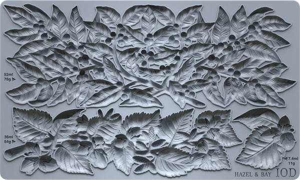 Hazel & Bay 6x10 | IOD Mould
