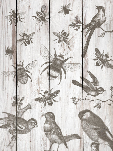 Iron Orchid Designs Birds & Bees | IOD Decor Stamp