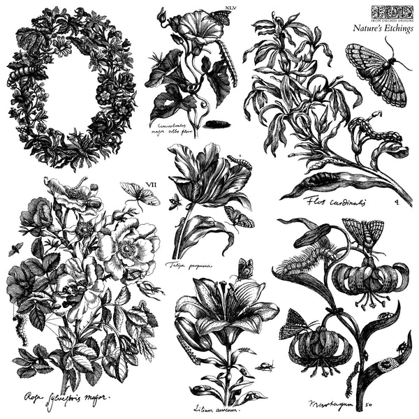Nature's Etchings 12x12 | IOD Stamp 2 Sheets